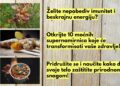 Superhrana za Jačanje Imuniteta: Top 10 Namirnica za Zdravlje i Energiju!