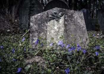 Na rubu znanosti: Zapisano na stećcima – vjera ispred religija