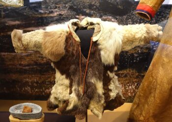 Krzno, perje, moda: Nova izložba u muzeju u Potsdamu