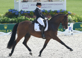 Bivši vrhunski dresurni konj Isabell Werth, Don Johnson, umire u 24. godini života