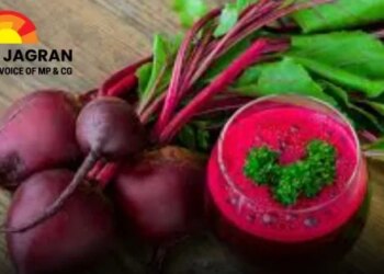 Cikla: nutritivna moć koja mijenja svakodnevne prehrambene navike