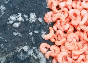 5 najboljih marki smrznutih škampa prema kuharima