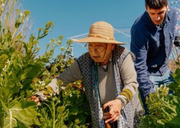 Kratki uvidi u aktivnosti koje mogu produljiti vaš život
