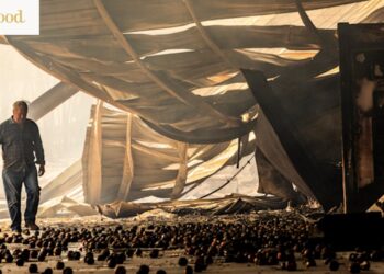 Mještani se udružuju kako bi podržali mala poduzeća stradala u požarima