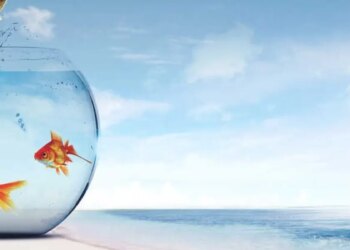 Nađite unutarnji mir tijekom života u inozemstvu