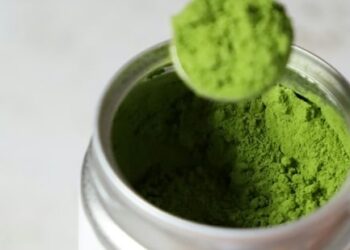 Gastroenterolog iz Floride otkriva ključnu hranjivu tvar koja nedostaje u zelenom prahu i dijeli alternativne opcije za poboljšanje.