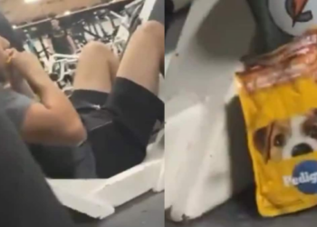 Čovjek konzumira pseću hranu prije leg press vježbe, internet zabrinut: ‘trči za proteinima na pogrešan način’ | Virusne vijesti