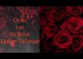 🔮🧡Ovan, Lav, Strijelac🔥Ljubav Februar🧡🔮