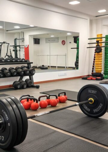 Japansko tržište fitness opreme: veličina, udio i izgledi 2026.-2034.