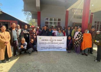KVK Kohima organizira kamp za zdravlje životinja u selu Kashanyu