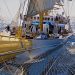 Star Clippers širi plovidbu s 24 nove luke