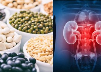Vodič za zdravlje bubrega: Konzumirajte proteine bez debljanja, savjeti stručnjaka