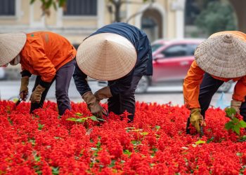 Neobjašnjiv razlog zašto Japanci održavaju kondiciju bez odlaska u teretanu