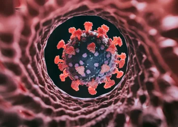 Što je ‘Cicada’ COVID varijanta? Izjave zdravstvenih stručnjaka