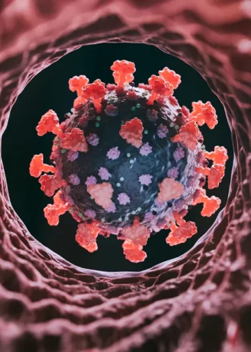 Što je ‘Cicada’ COVID varijanta? Izjave zdravstvenih stručnjaka