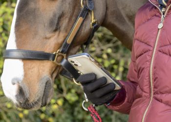 Kako osigurati sigurnost sebe i drugih prilikom korištenja AI za dobrobit vašeg konja