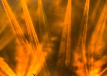 Ludi treninzi Lennyja Kravitza i Dorian Yatesa izazivaju ludilo za turneju po Njemačkoj 2026. – obožavatelj Berlina