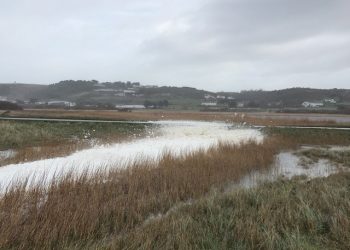 Izbjegavajte morsku pjenu – stručnjaci za PFAS preporučuju pranje nakon dodira