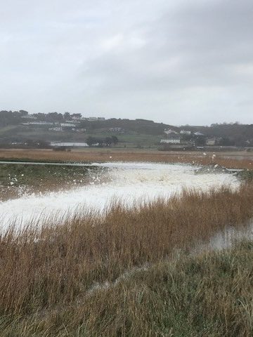 Izbjegavajte morsku pjenu – stručnjaci za PFAS preporučuju pranje nakon dodira