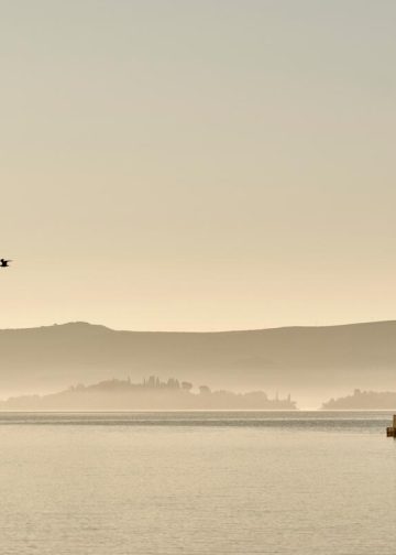 Tivat s motom “More muzike”