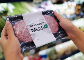 Stručnjaci traže uvođenje britanskih standarda za obogaćivanje biljnog mesa i smanjenje cijena