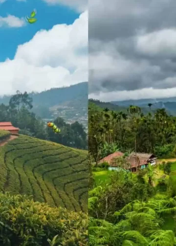 5 mirnih destinacija u južnoj Indiji gdje poznate osobe uživaju u odmoru