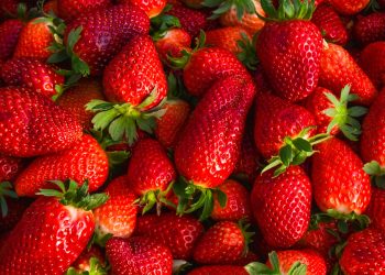 11 vrsta voća koje sadrže više šećera od jagoda