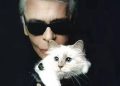 Choupetteova viralna priča o bogatstvu ponovno je pokrenula raspravu o kulturi slavnih kućnih ljubimaca