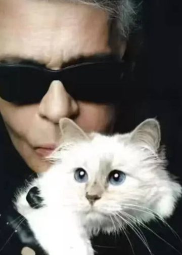 Choupetteova viralna priča o bogatstvu ponovno je pokrenula raspravu o kulturi slavnih kućnih ljubimaca