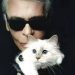 Choupetteova viralna priča o bogatstvu ponovno je pokrenula raspravu o kulturi slavnih kućnih ljubimaca