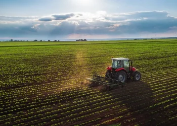 Razvijanje otpornijih prehrambenih sustava za unapređenje prehrane