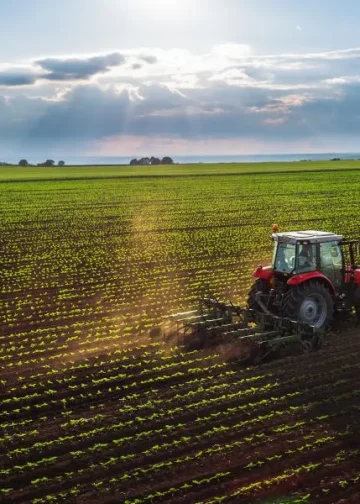 Razvijanje otpornijih prehrambenih sustava za unapređenje prehrane