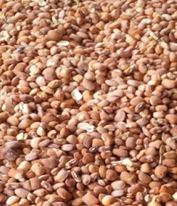 Više ugljikohidrata nego proteina, tvrde nutricionisti
