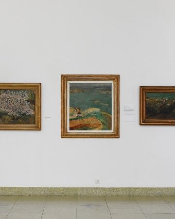 Vođeno razgledavanje prestižne zbirke Kviz u Galeriji Dubrovnik