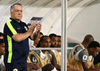 Sačuvajte dostojanstvo na Svjetskom prvenstvu: Dick Advocaat i Fred Rutten