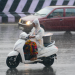 Umjerena kiša prognozirana u TN; Temperatures u Chennaiju mogu dostići 38 stupnjeva Celzijusa