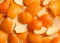 Sveučilište Swansea i Biovit preradit će otpadnu hranu u prirodne dodatke vitamina C