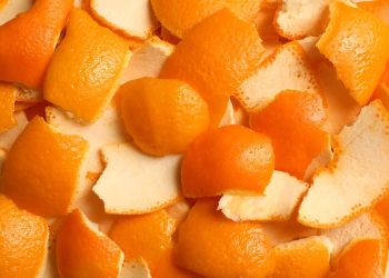 Sveučilište Swansea i Biovit preradit će otpadnu hranu u prirodne dodatke vitamina C