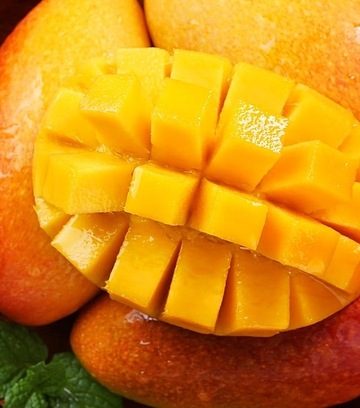 Kako ubrati zreli mango?