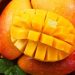 Kako ubrati zreli mango?