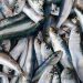 Zašto su sardine izvanredne za vaše zdravlje